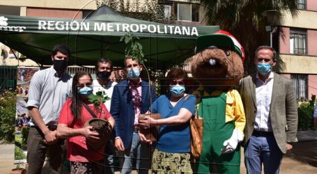 Vecinos de Santiago recibieron un árbol como regalo de navidad