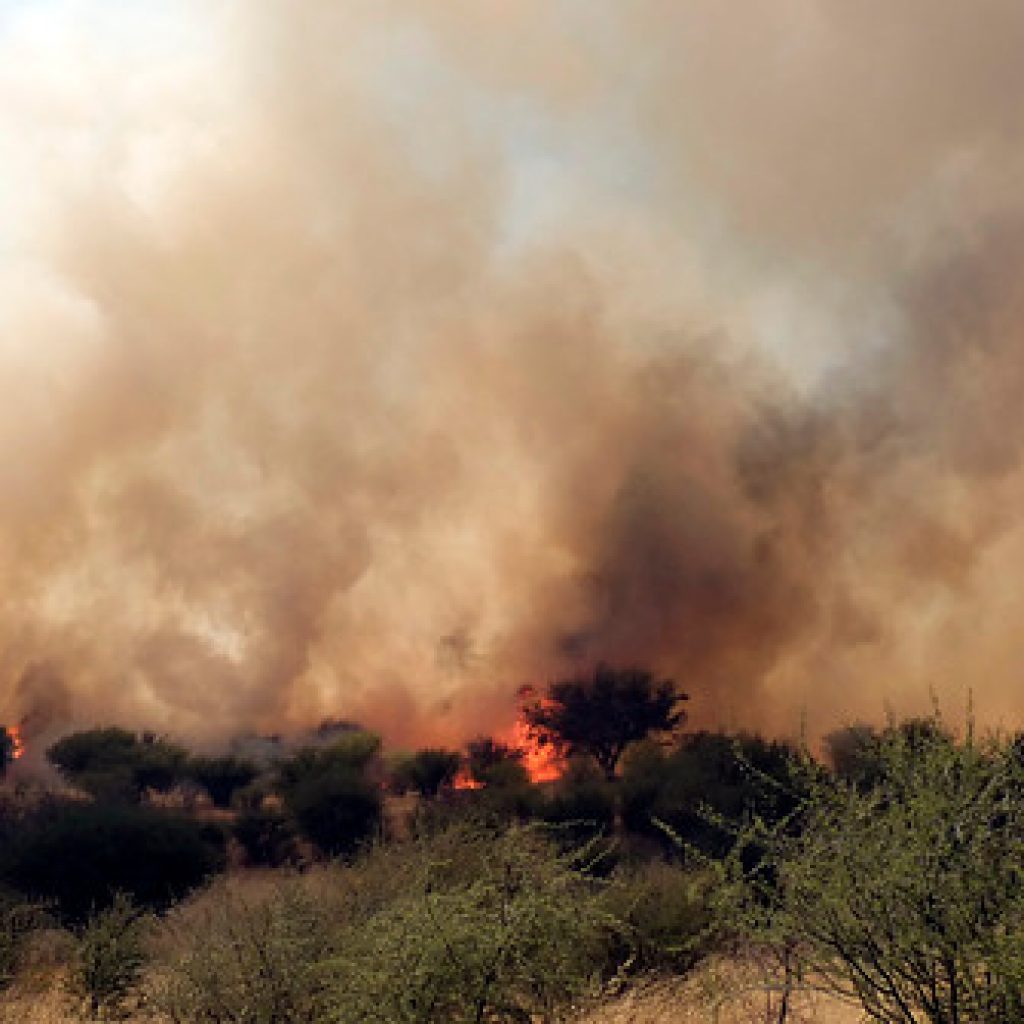 Declaran Alerta Roja para Curacaví por incendio forestal
