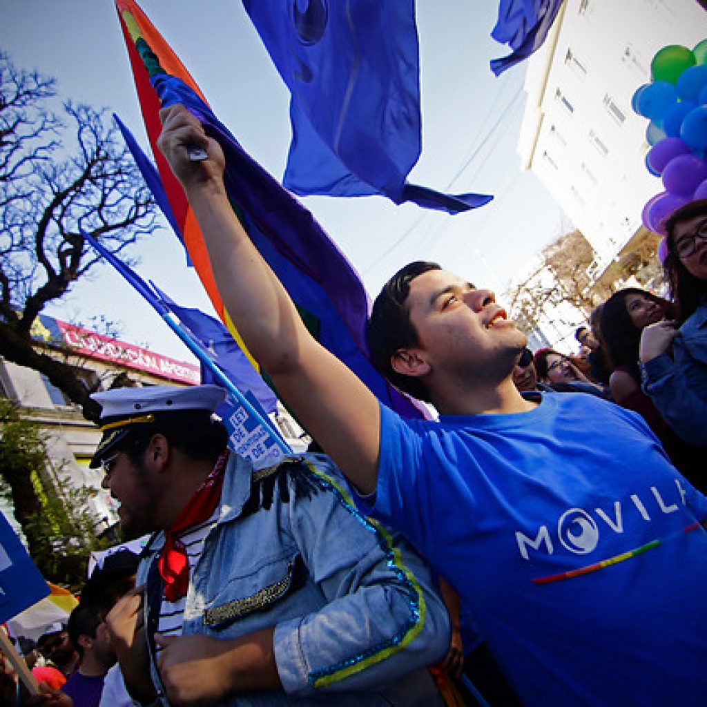 El Movilh demandó al Estado de Chile ante la CIDH