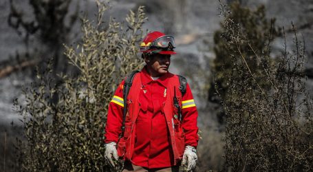 Declaran Alerta Roja para la comuna de Tomé por incendio forestal