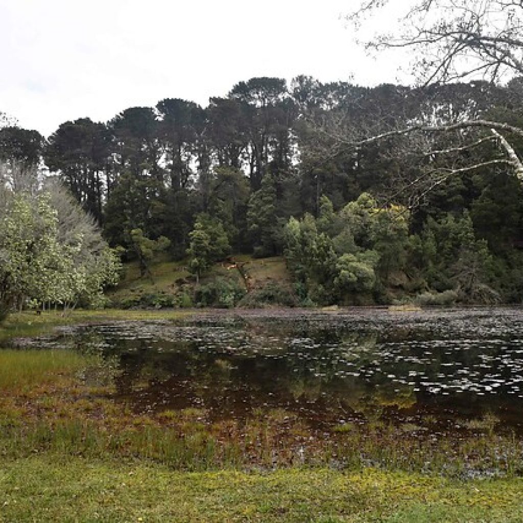 UPLA realizará jornada para analizar aportes de las reservas de la biósfera