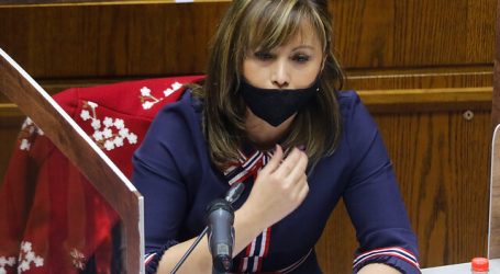 PPD designa a Loreto Carvajal en cupo dejado por Felipe Harboe en el Senado
