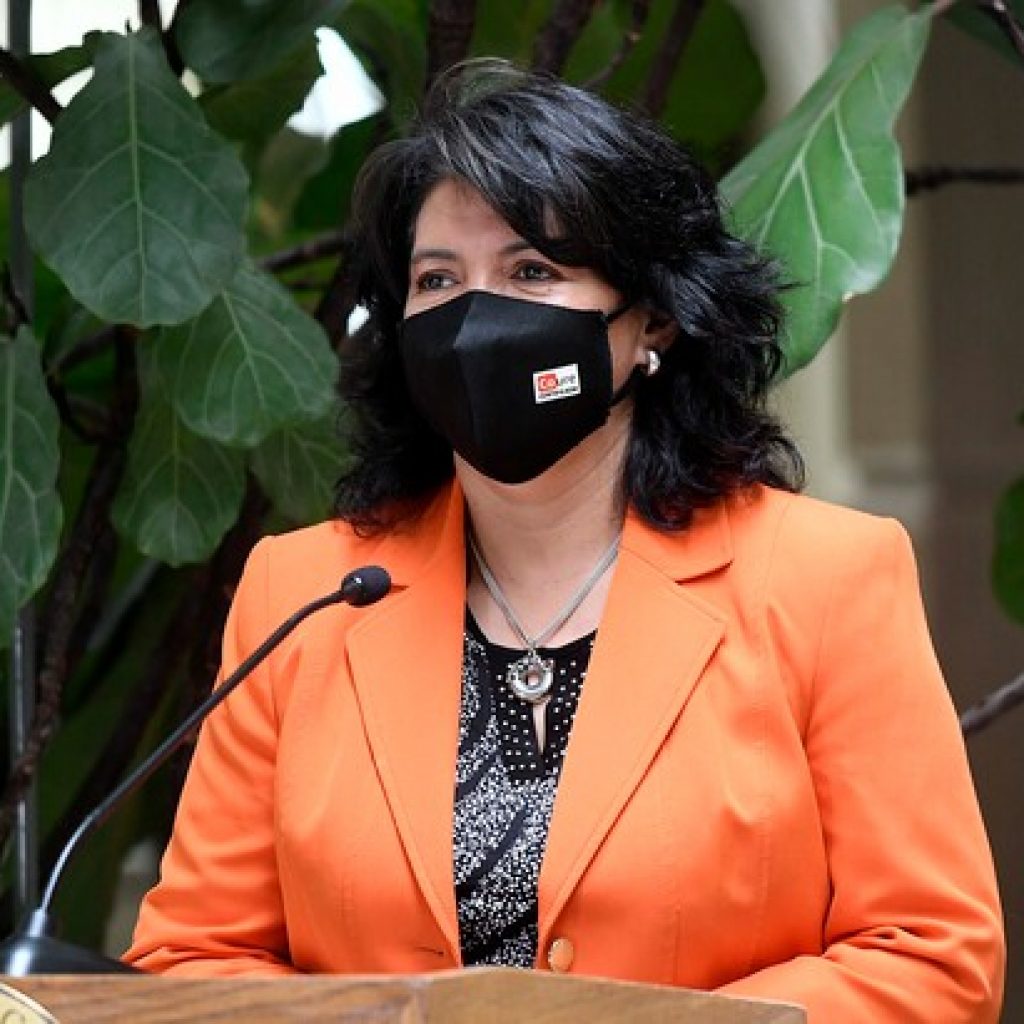 Provoste acudirá a Contraloría por cuestionada adjudicación para el ITL