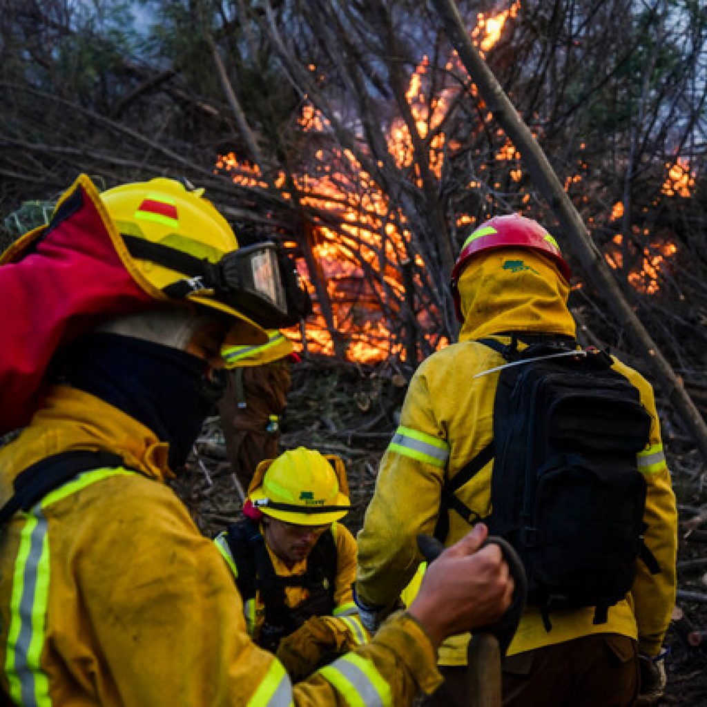 Declaran Alerta Roja para la comuna de Monte Patria por incendio forestal