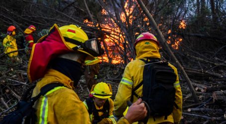 Declaran Alerta Roja para la comuna de Monte Patria por incendio forestal