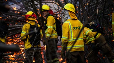 Declaran Alerta Roja para la comuna de Rengo por incendio forestal