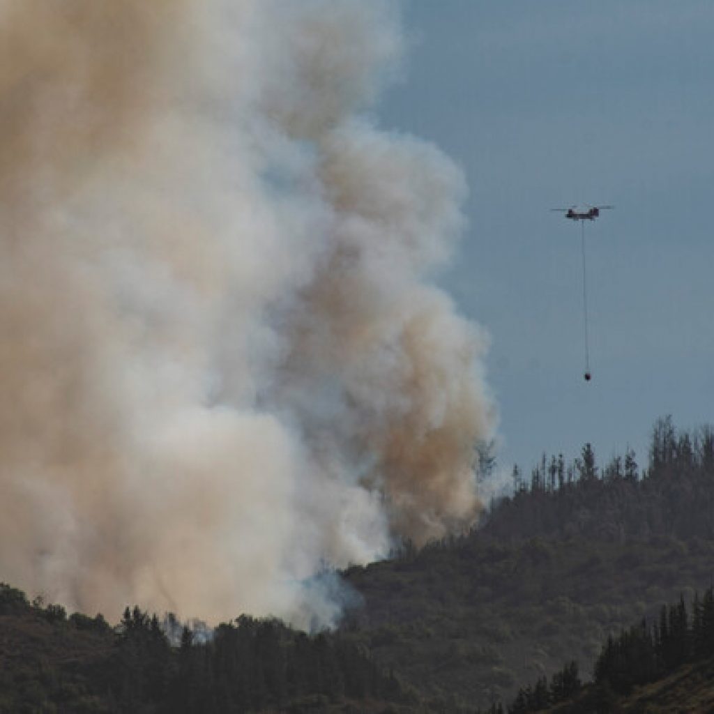 Cinco incendios forestales se encuentran activos a nivel nacional