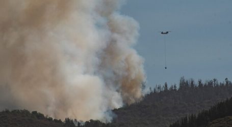 Cinco incendios forestales se encuentran activos a nivel nacional