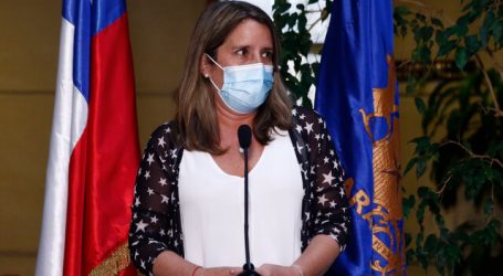 Piden apurar control preventivo constitucional de proyecto sobre pirotecnia