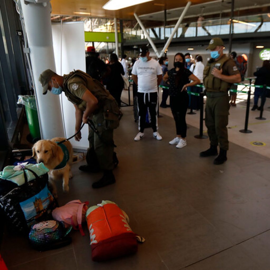 Supervisan medidas sanitarias y de seguridad en los terminales de buses
