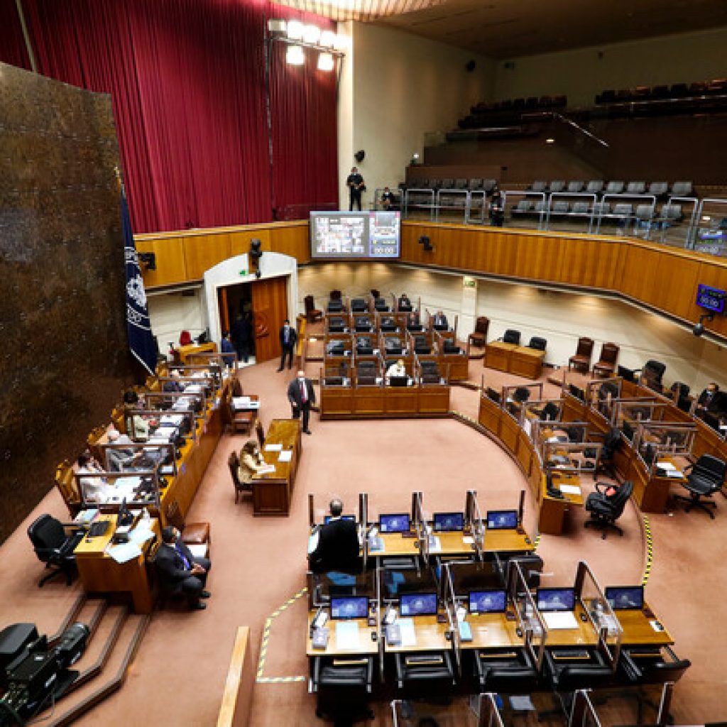 Senado: Proponen impulsar una Comisión Bicameral de Seguridad Pública