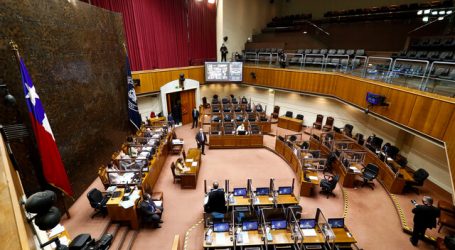 Senado: Proponen impulsar una Comisión Bicameral de Seguridad Pública