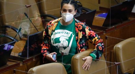 Cariola y policía comunitaria mapuche: “El Estado chileno ha sido negligente”