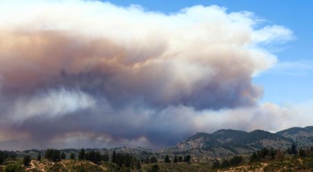 Incendio forestal en Valparaíso y Quilpué ya consume más de 100 hectáreas