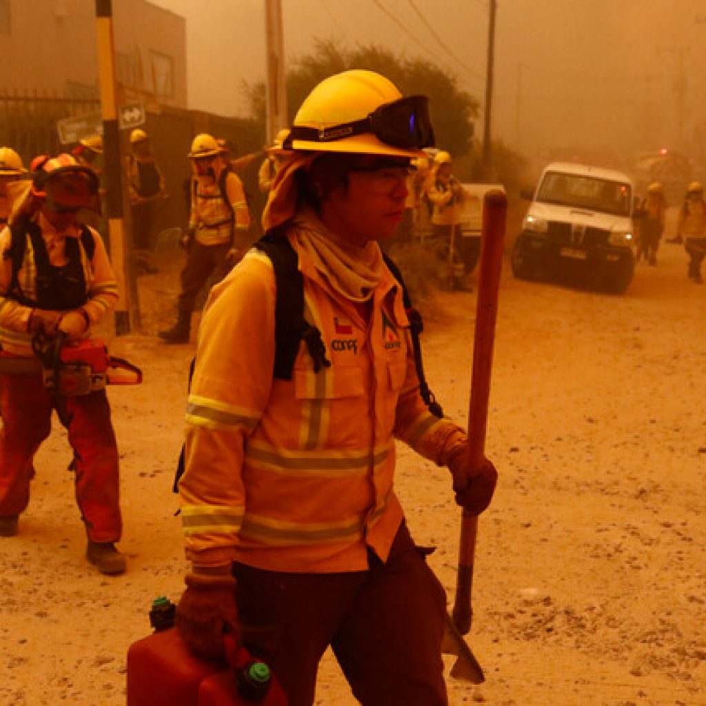 Ministerio Público inició investigación por incendio forestal en Quilpué