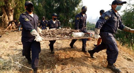 Incendio Quilpué: Trabajo terrestre y aéreo disminuyó riesgo a centros poblados