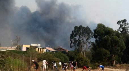 ONEMI entregó nuevo balance por situación de incendio forestal en Quilpué