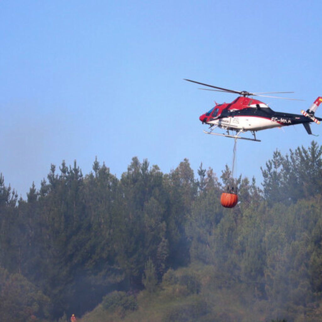 Se mantiene Alerta Roja en comuna de Monte Patria por incendio forestal
