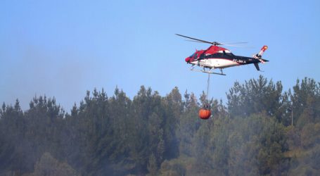 Se mantiene Alerta Roja en comuna de Monte Patria por incendio forestal