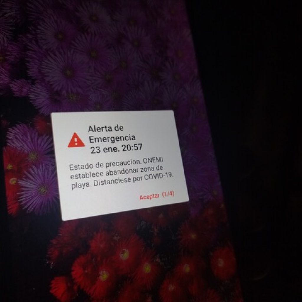 Diputada Mix ofició a la Onemi por alerta para evacuar zonas de playa