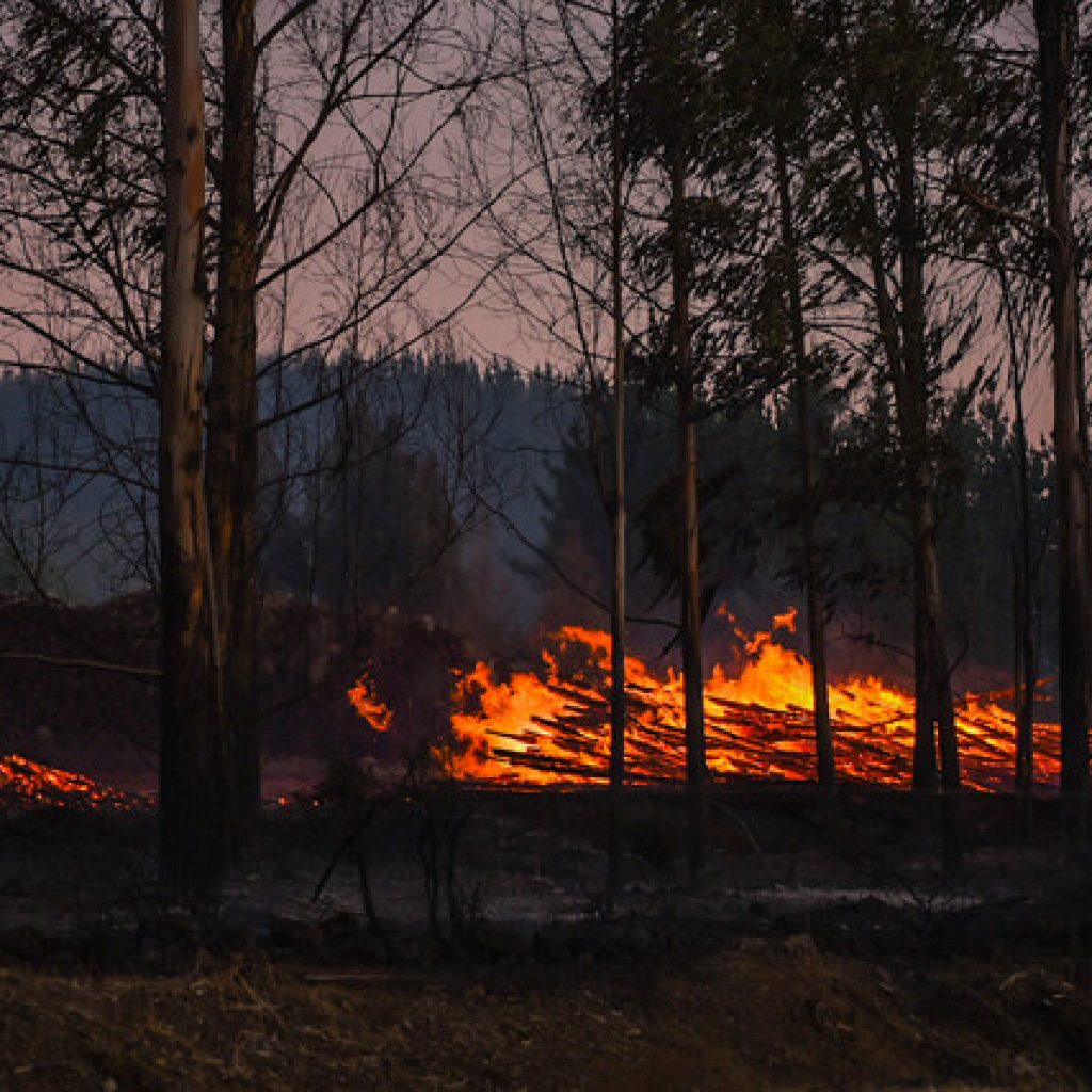 3 mil incendios forestales han afectado al país durante esta temporada