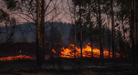 3 mil incendios forestales han afectado al país durante esta temporada