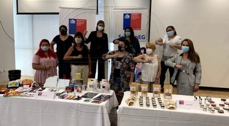 Lanzan programa para mujeres jefas de hogar capacitando a 20 mil de todo Chile