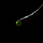 Tenis: Lanzan el Dove Men+Care Challenger de Concepción