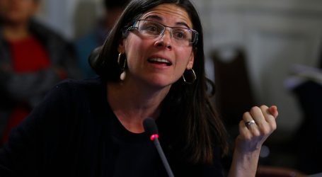 Eyzaguirre renuncia a candidatura por distrito 10 tras inscripción de Marinovic