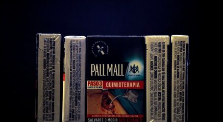 Incautan más de 3.000 cajetillas de cigarrillos de contrabando en Punta Arenas