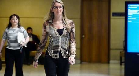 Sabat destaca avance de proyecto que exime a embarazadas de ser vocales de mesa