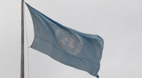 La ONU reclama la liberación “inmediata” de Navalni