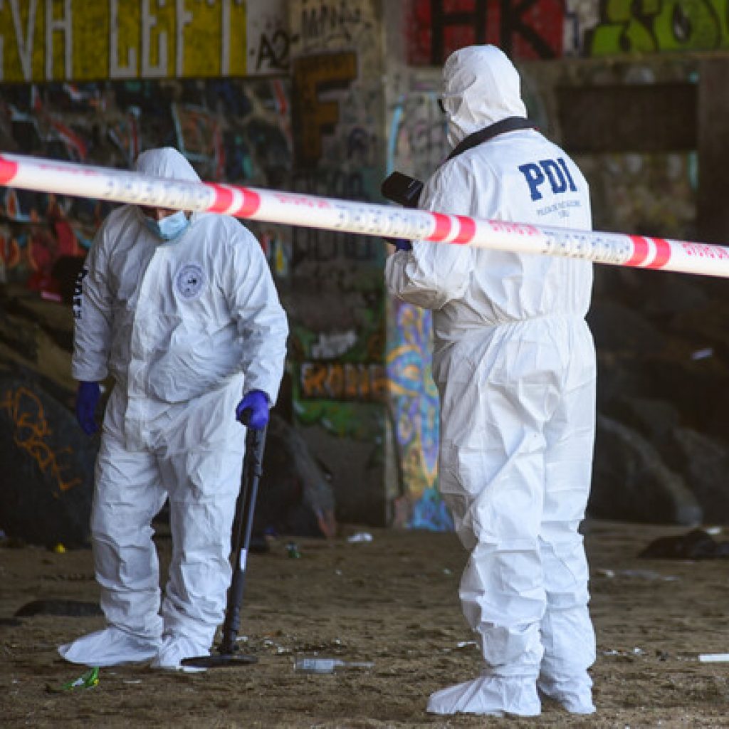 PDI investiga el hallazgo de dos cadáveres en la región de Los Lagos