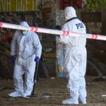 PDI investiga el hallazgo de dos cadáveres en la región de Los Lagos