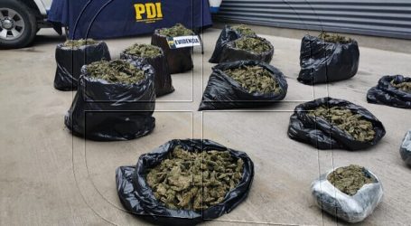 PDI de La Calera detuvo a banda criminal con $364 millones en droga