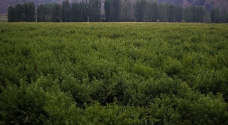 Ministra de Agricultura abordó efectos de las últimas lluvias en el país