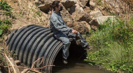 Greenpeace alertó sobre deterioro de humedales por contaminación plástica