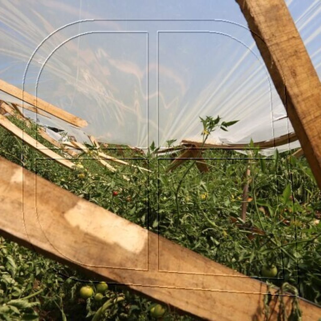 Ministra Undurraga: “Es inminente la declaración de la emergencia”