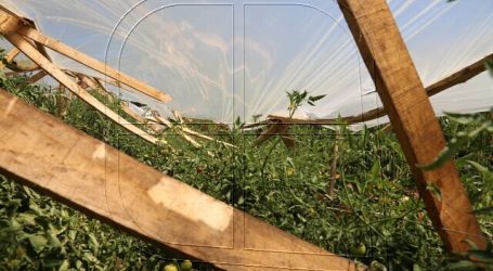 Ministra Undurraga: “Es inminente la declaración de la emergencia”