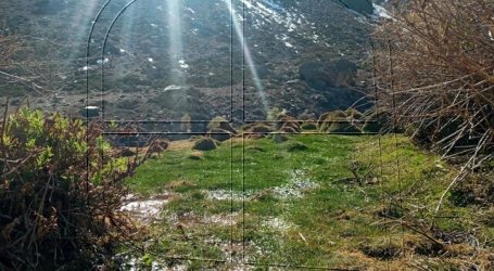 7 ecosistemas de la RM buscan convertirse oficialmente en Humedales Urbanos