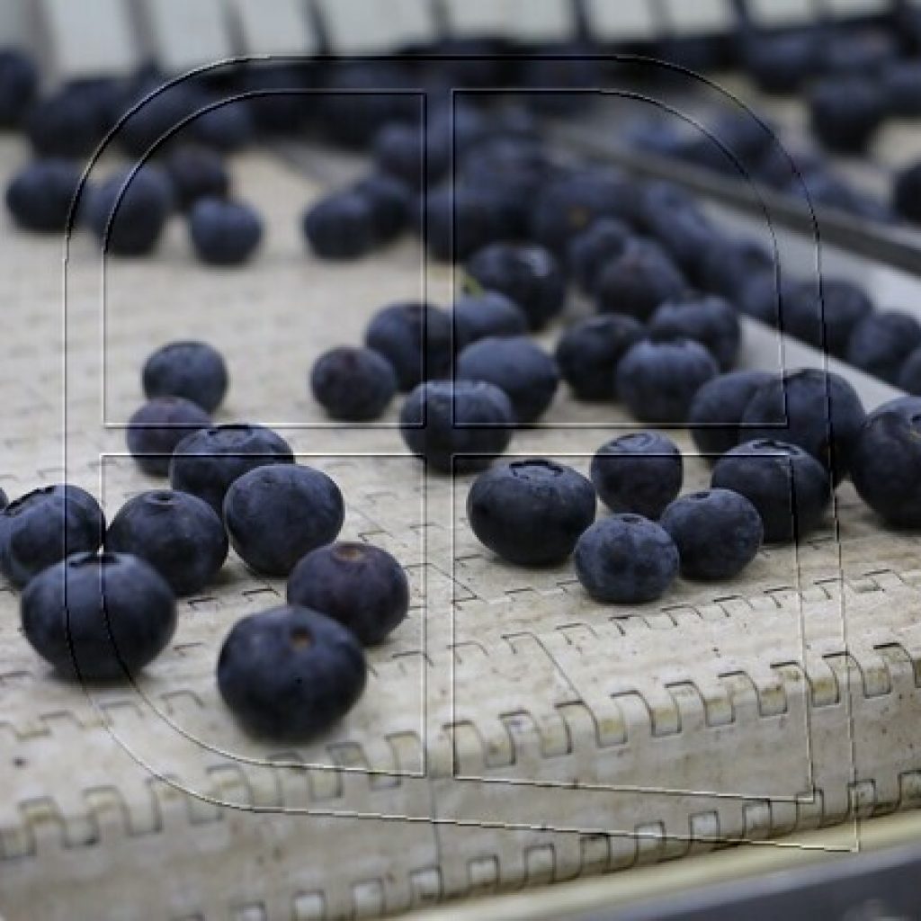 Destacan positivo impacto de Systems approach en exportaciones de arándanos