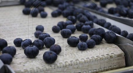 Destacan positivo impacto de Systems approach en exportaciones de arándanos