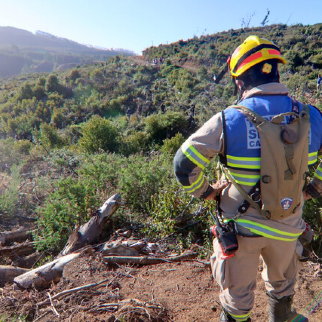 Continúa búsqueda de niño perdido el miércoles en la comuna de Arauco
