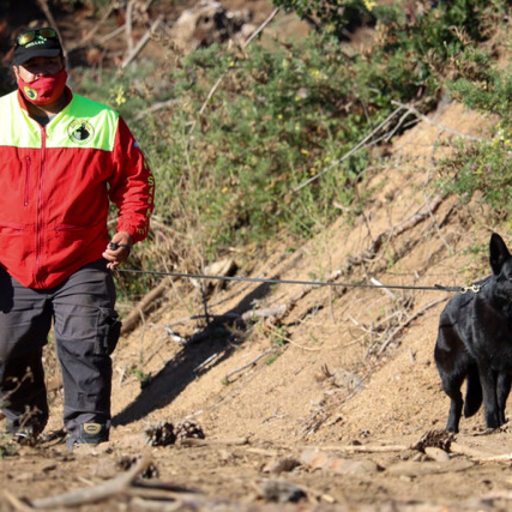 Se reanudó búsqueda de Tomás Bravo en la región de La Araucanía