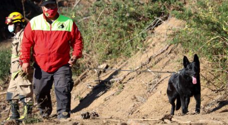 Se reanudó búsqueda de Tomás Bravo en la región de La Araucanía