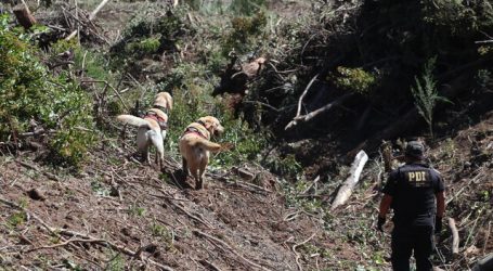 Autorizan el rastreo de llamadas de familiares de Tomás Bravo