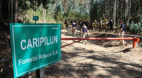 Fiscal del caso Tomás Bravo: Tomamos un sitio del suceso 100% alterado