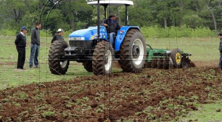 Conadi ha comprado más de 30 mil hectáreas de tierras para comunidades mapuche