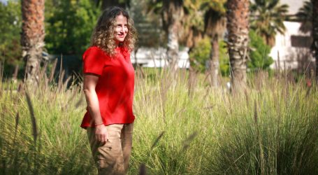 Paola Berlin, candidata constituyente Distrito 11: “La contienda es desigual”