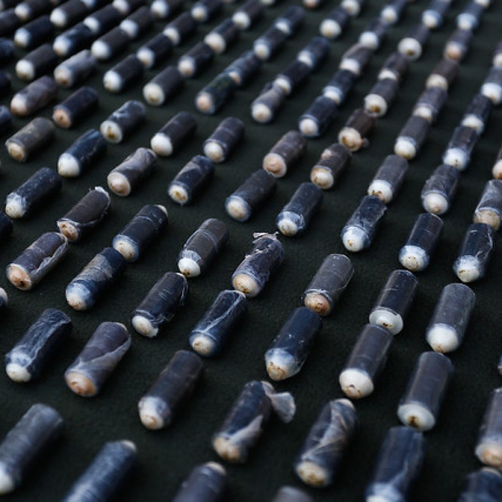 Carabineros detuvo a 98 personas y decomisó 122 kilos de droga